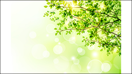 Spring trees and sun vector